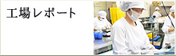 工場レポート